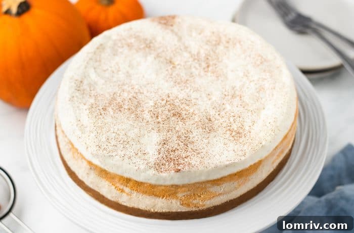 The pumpkin swirl cheesecake garnished with whipping cream on a plate.
