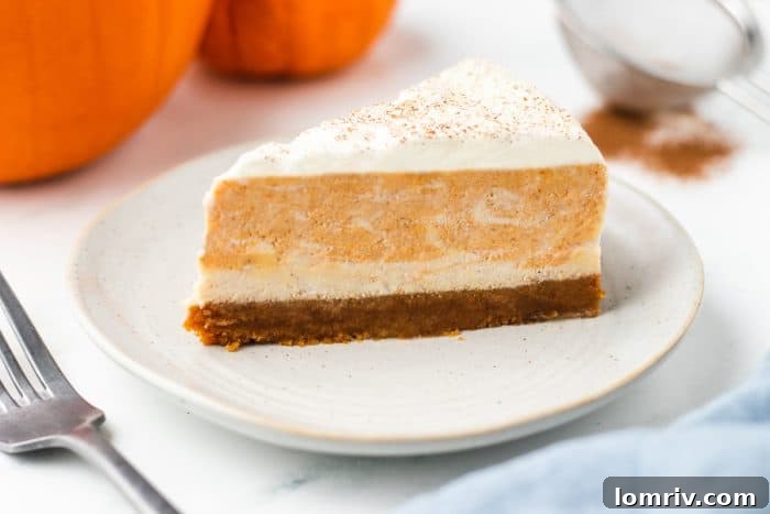 A closeup of a slice of pumpkin swirl cheesecake on a white plate.