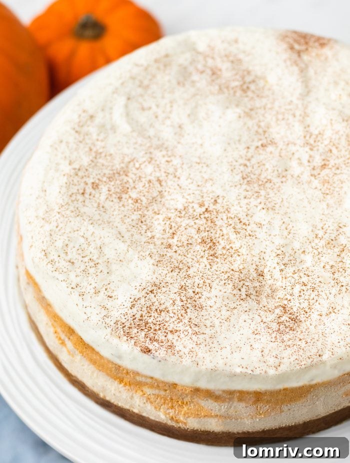 The top view of the pumpkin cheesecake showing the whipping cream and cinnamon.