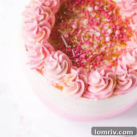 Pink Ombre Cake