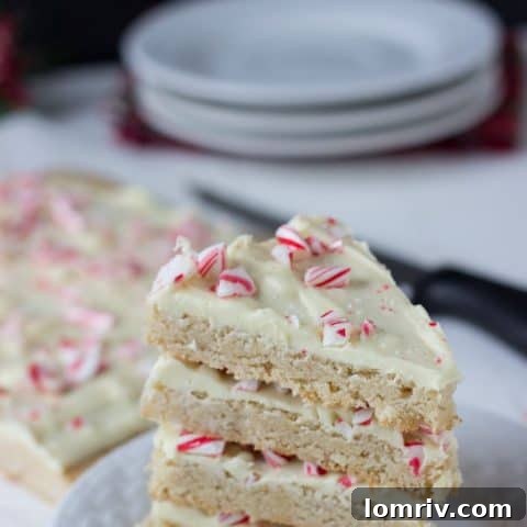 Peppermint Spiced Cookie Bark