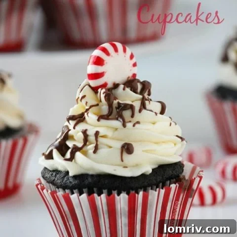 Peppermint Mocha Cupcakes