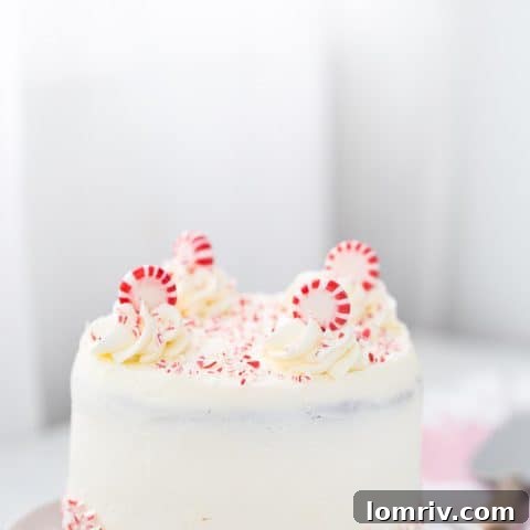 Peppermint Chocolate Layer Cake