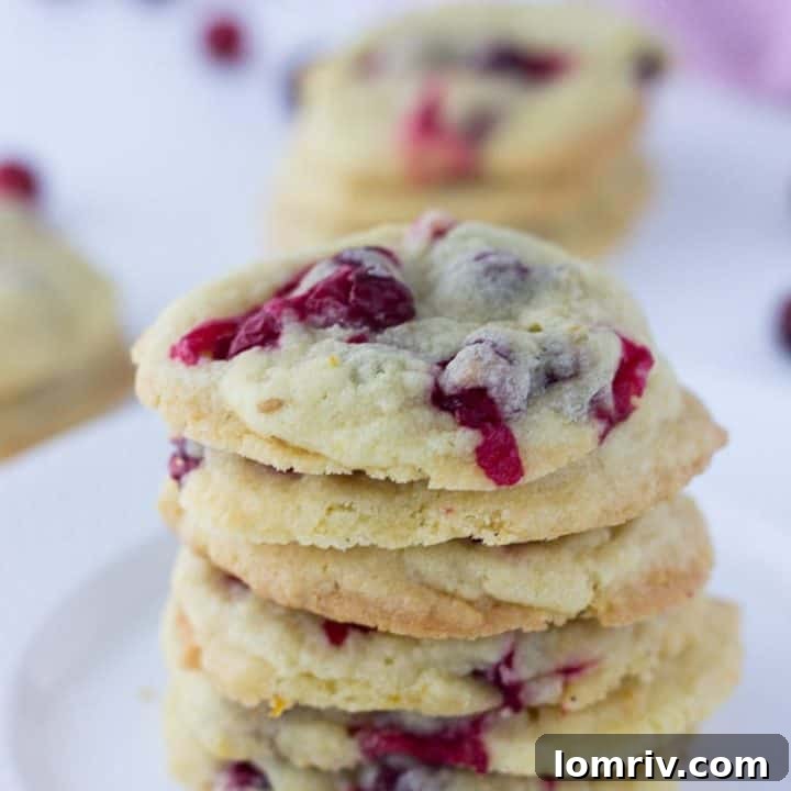 Cranberry Orange Vanilla Cookies