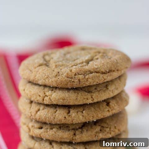 Ginger Molasses Cookies