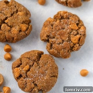 Butterscotch Gingersnap Molasses Cookies