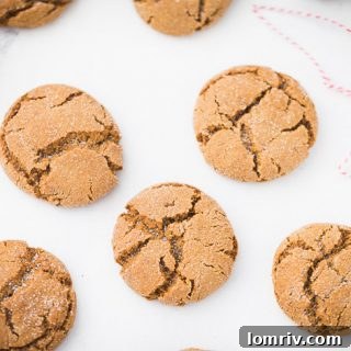 Gingerbread Chai Cookies