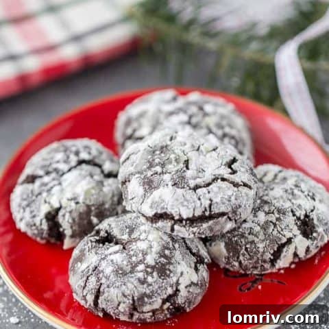 Mexican Chocolate Crinkle Cookies