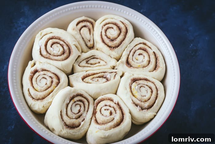 Eggnog Cinnamon Rolls Arranged in a Baking Dish