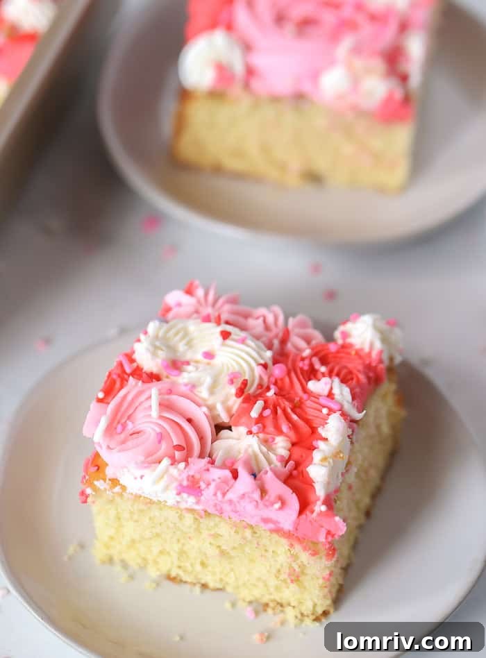 Detailed shot of a Valentine's Day Sheet Cake, illustrating various buttercream piping techniques and color combinations.