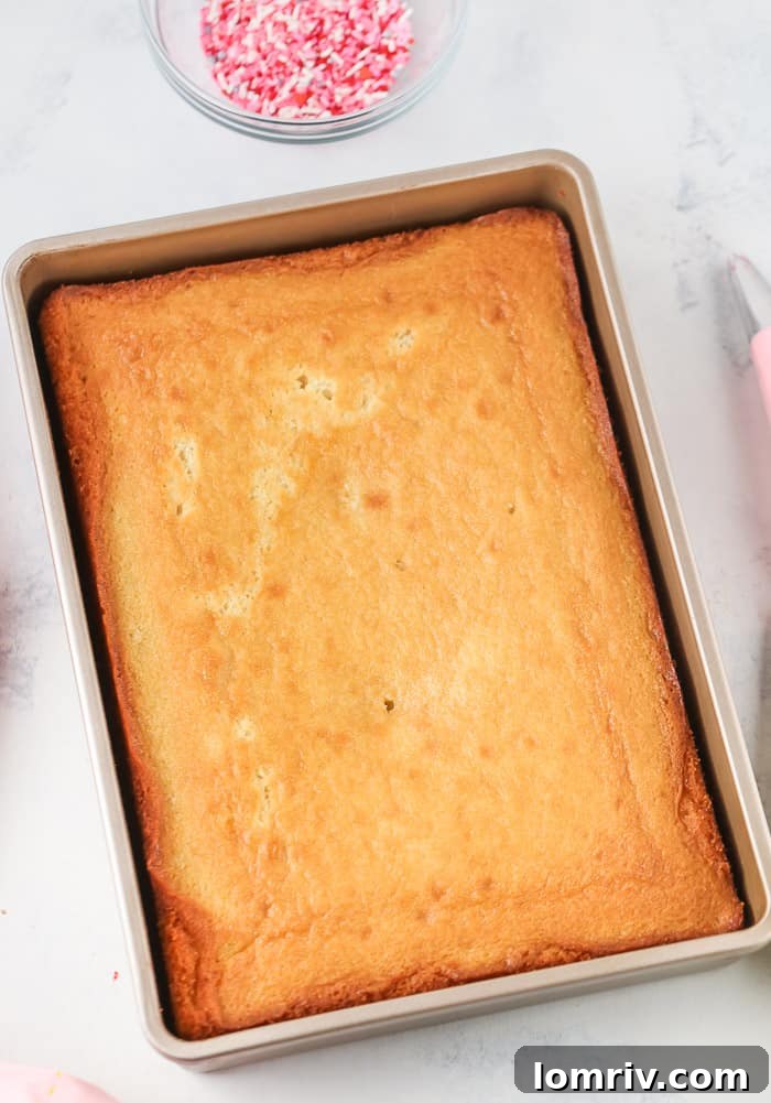 Essential tools and ingredients laid out for decorating a sheet cake, including a baked cake, buttercream, and piping bags.