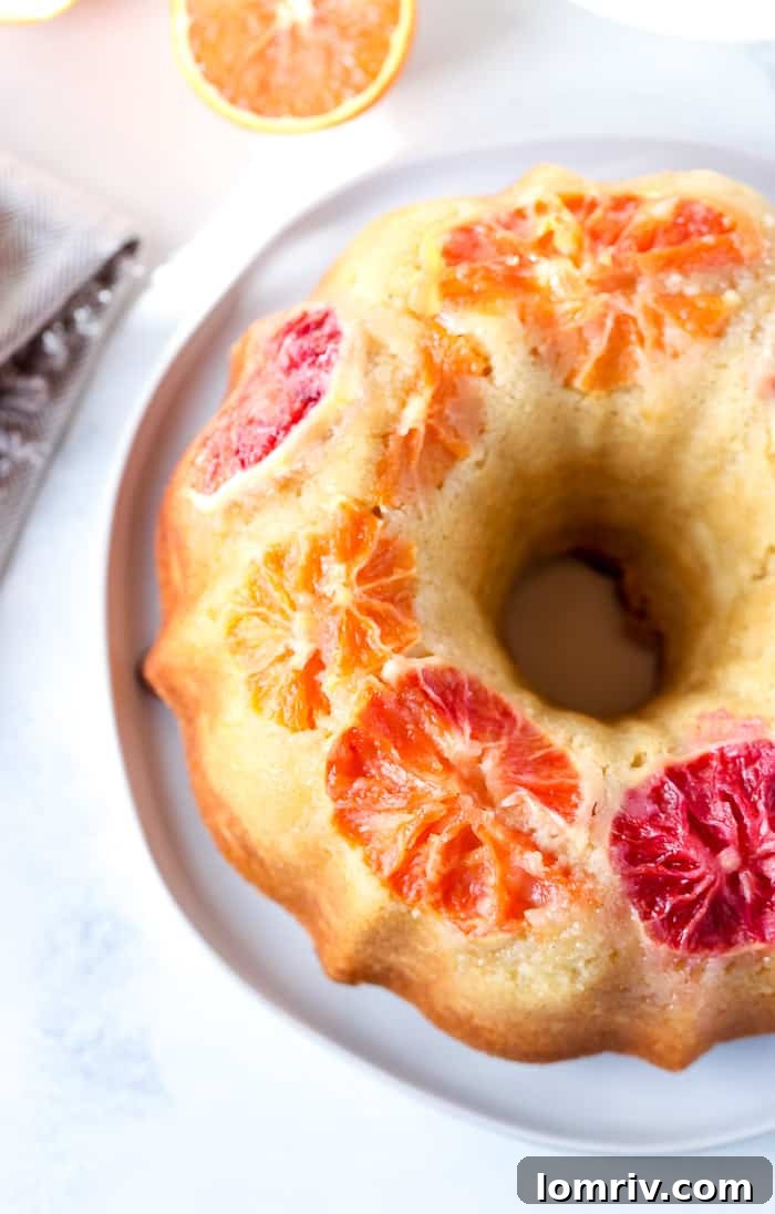 Winter Citrus Cake