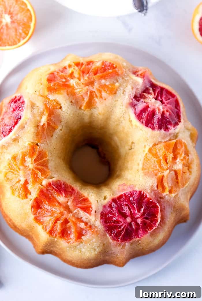 Winter Citrus Cake