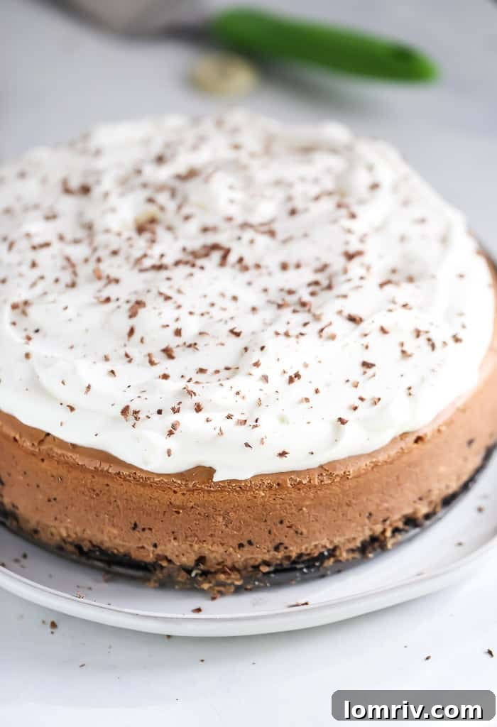 Chocolate Stout Cheesecake