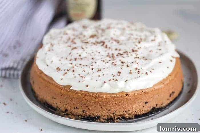 Creamy Chocolate Stout Cheesecake