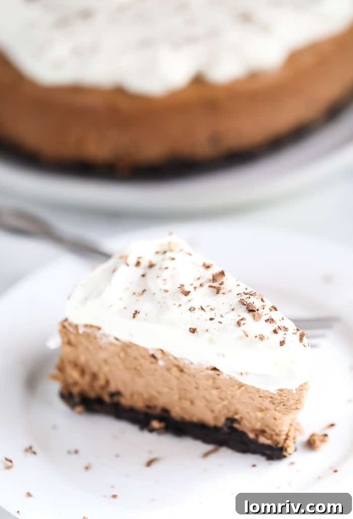 Slice of Chocolate Stout Cheesecake