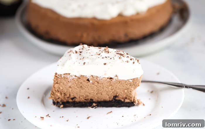 Whole Chocolate Stout Cheesecake