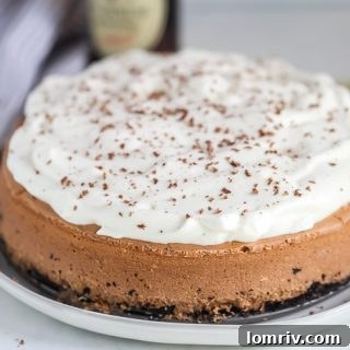 Chocolate Stout Cheesecake