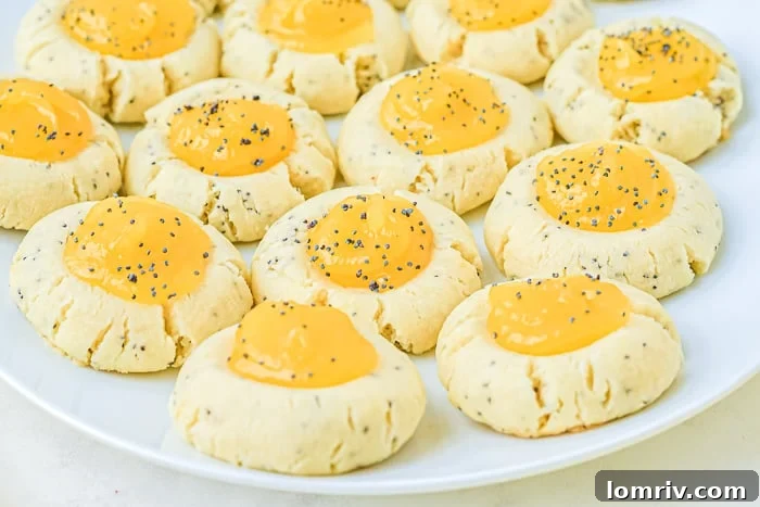 Several Lemon Poppy Seed Thumbprint Cookies beautifully arranged on a white plate, showcasing their filling