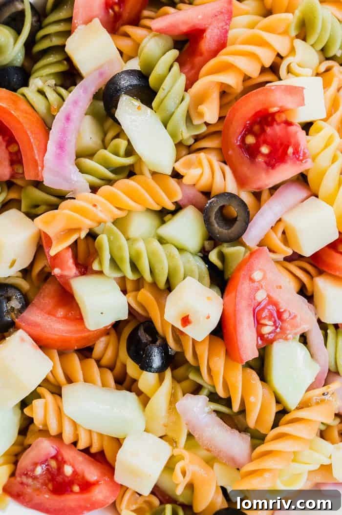 Close-up of freshly made summer pasta salad with colorful rotini, tomatoes, cucumbers, and sharp cheddar cheese