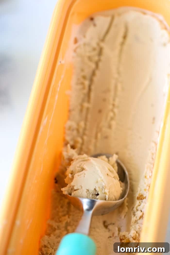 Overhead shot of freshly churned Banana Walnut Cheesecake Ice Cream, ready to be frozen.