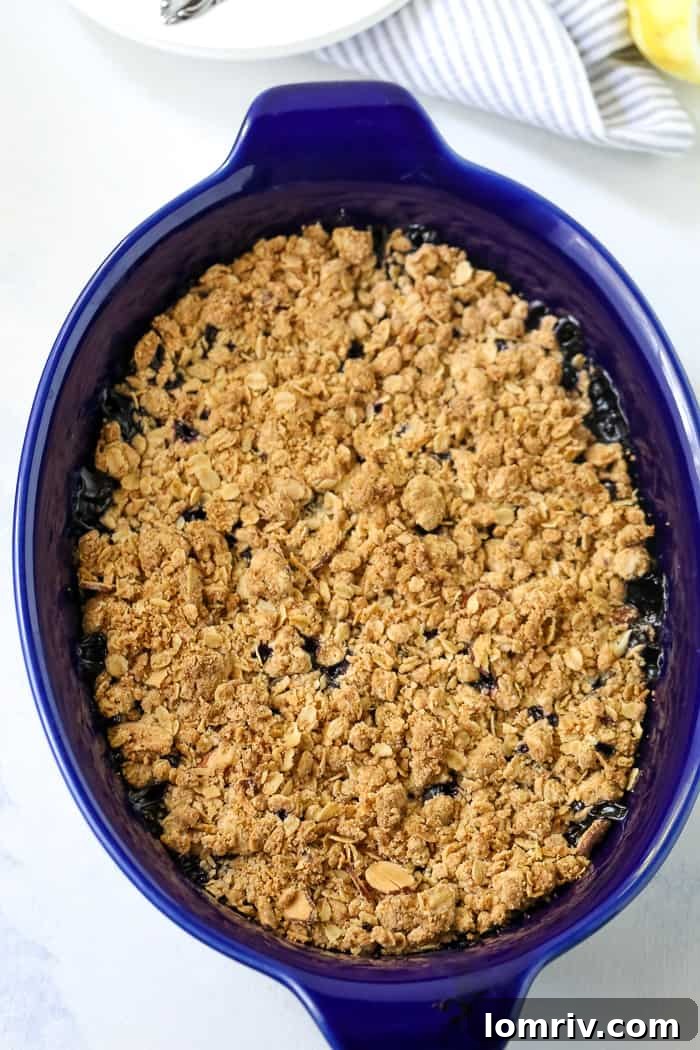 Blueberry Crumble with a Browned Butter Oat Topping