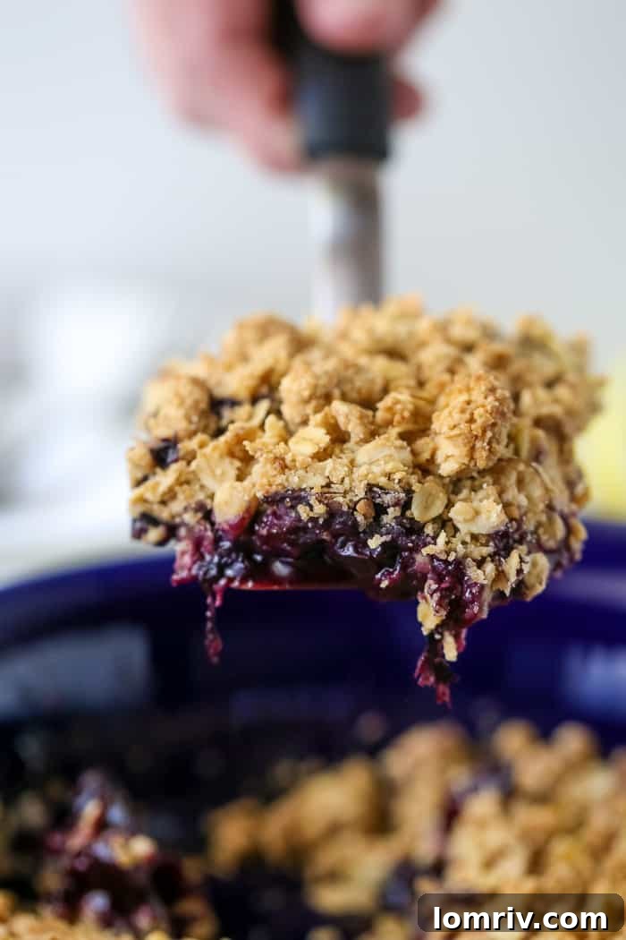 Blueberry Crumble with a Browned Butter Oat Topping