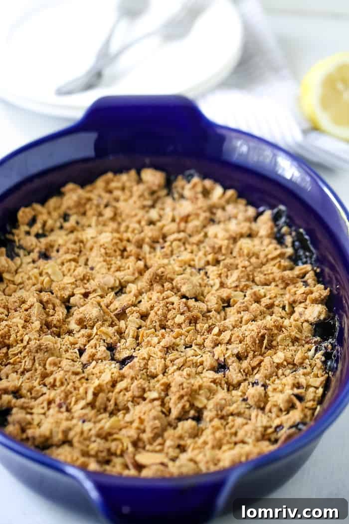 Blueberry Crumble with a Browned Butter Oat Topping
