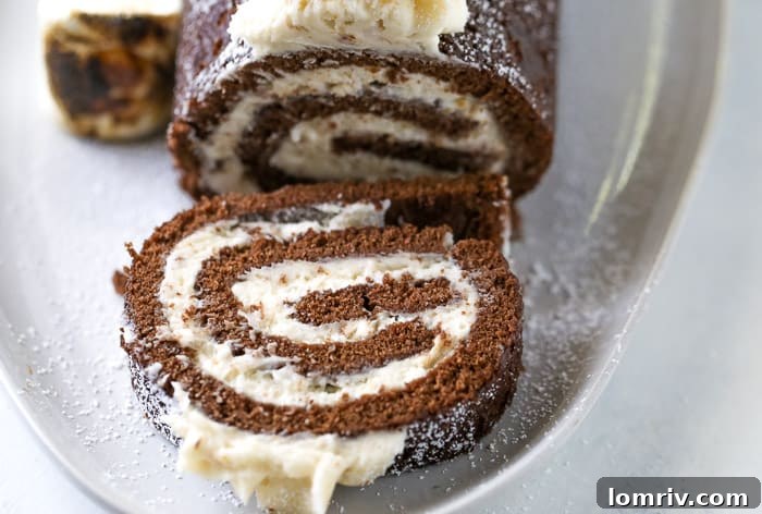 Chocolate Swiss Roll Cake with Toasted Marshmallow Frosting - S'mores Inspired Dessert
