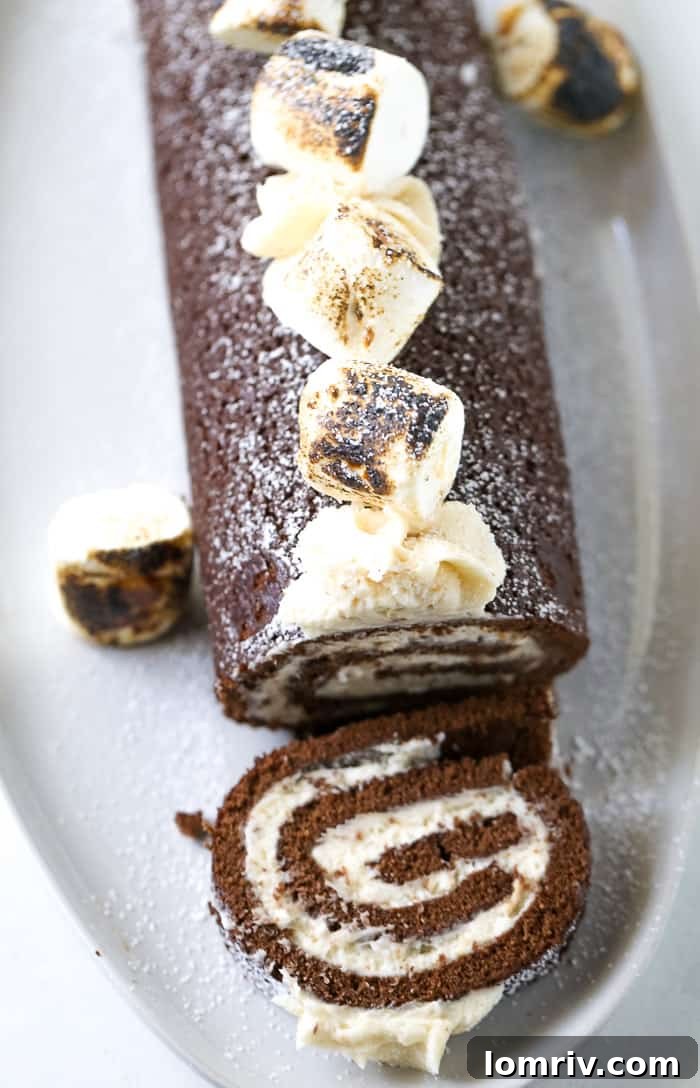 Slice of Chocolate Swiss Roll Cake with Toasted Marshmallow Frosting