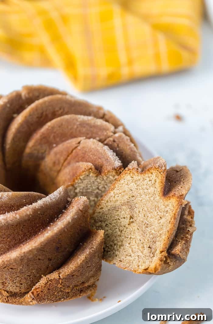 Close-up of Snickerdoodle Bundt Cake, highlighting the rich cinnamon swirl and moist texture