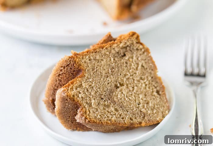 A generous slice of Snickerdoodle Bundt Cake served with a scoop of vanilla ice cream