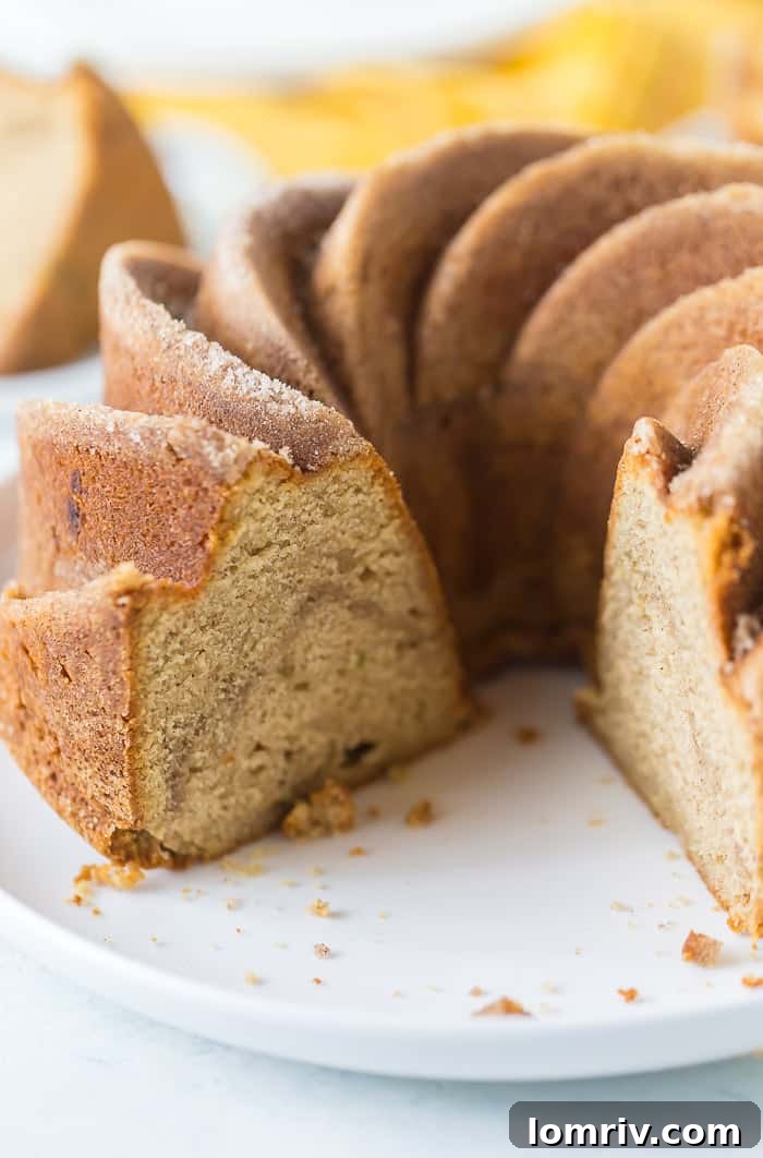 Top-down view of Snickerdoodle Bundt Cake on a decorative serving plate