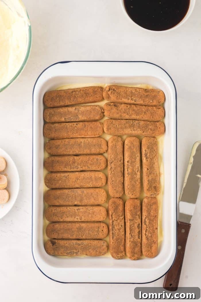 First layer of coffee-soaked ladyfingers in Tiramisu