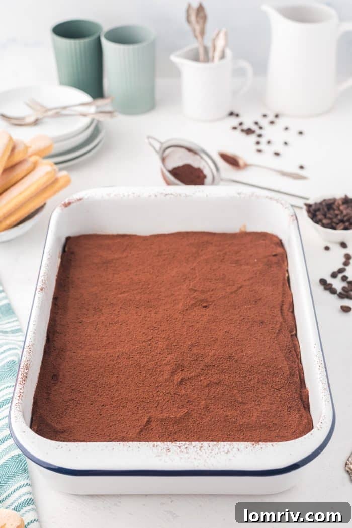 Finished, chilled Tiramisu ready to be served