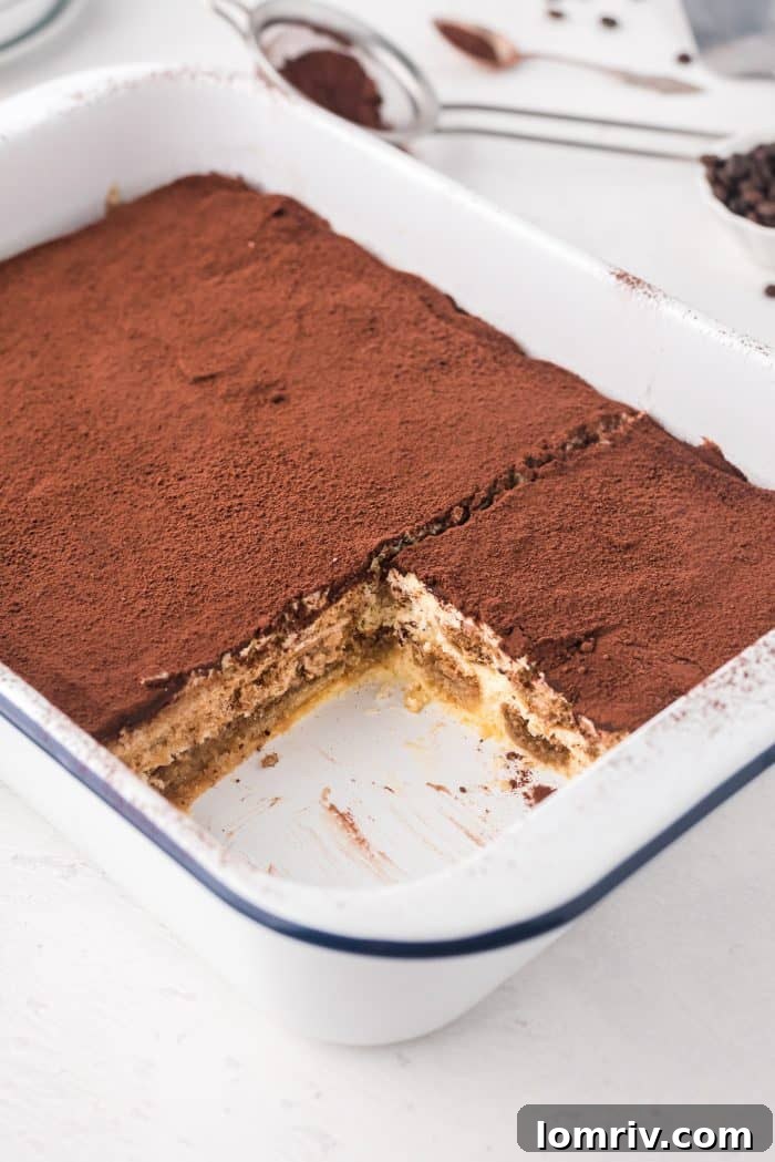 Individual serving of classic Tiramisu dusted with cocoa