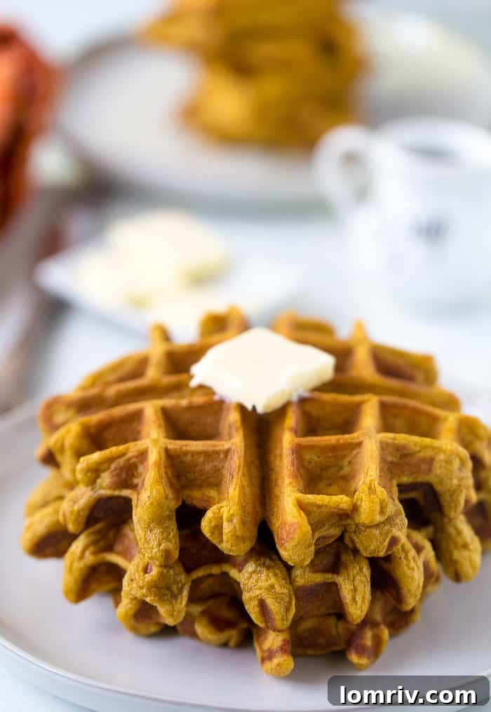 Buttermilk Pumpkin Waffles - Close-up of a perfectly cooked pumpkin waffle, showcasing its tender texture.