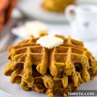 Buttermilk Pumpkin Waffles