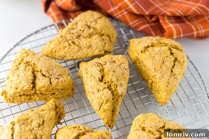 Freshly baked pumpkin scones