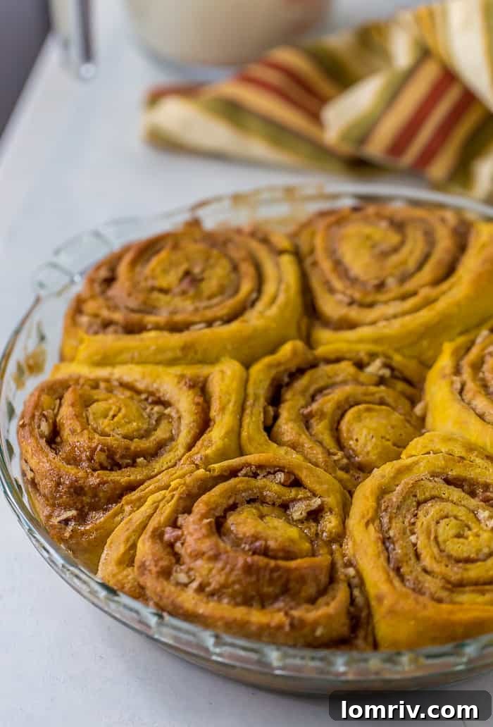 Unrolled pumpkin cinnamon roll dough, ready for filling and rolling