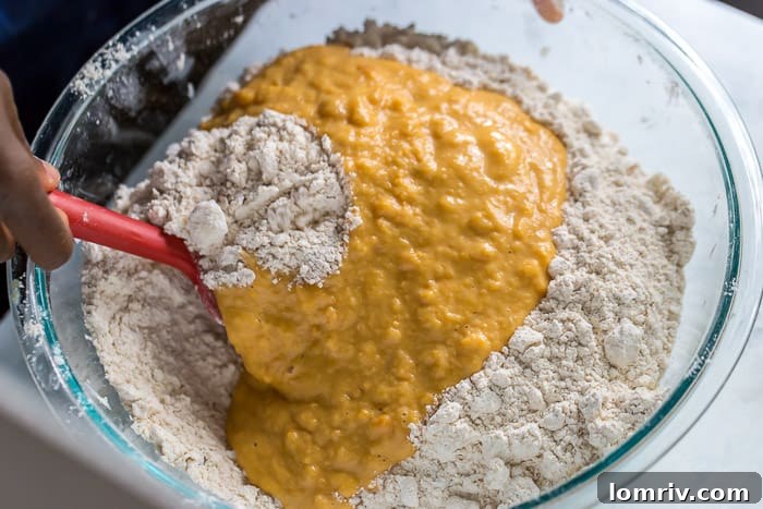 Step 4: Gently folding wet and dry ingredients together for scone dough