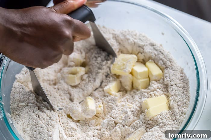 Step 2: Cutting cold butter into dry ingredients for scones