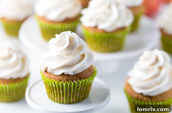 A single Apple Spice Cupcake with Cinnamon Frosting, ready to be enjoyed