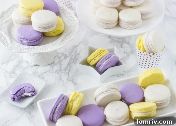 Delicate Lavender Honey Macarons, beautifully assembled