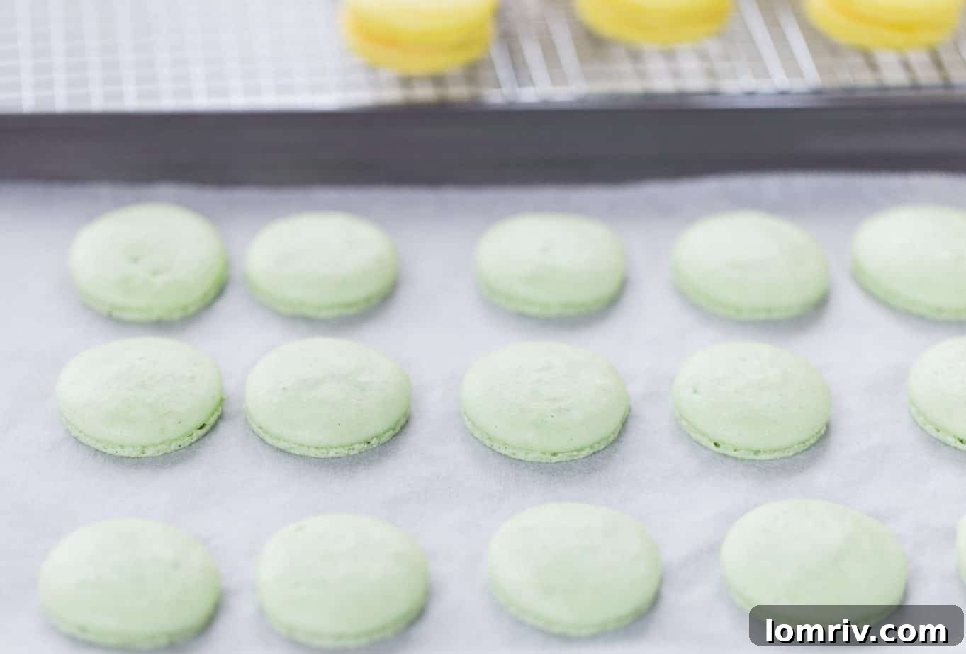 Freshly baked lemon lime macaron shells cooling on parchment paper