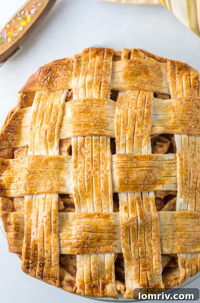 Pear Apple Pie - A delightful mix of apples and pears for a classic dessert
