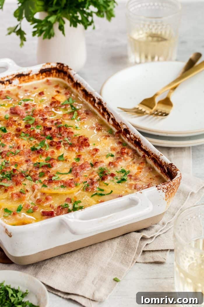 A baking dish filled with Grandpa's Scalloped Potatoes, showcasing layers of golden potatoes and rich, creamy cheese sauce, perfect for a cozy meal.