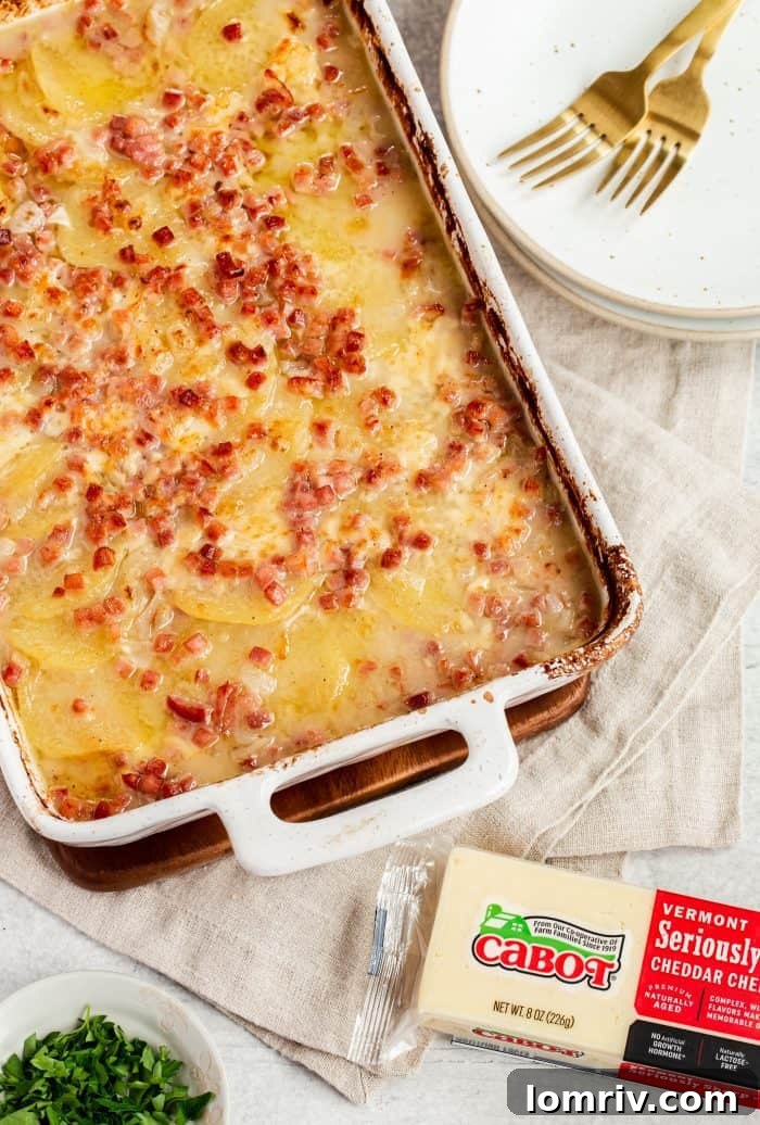 A serving of Grandpa's Scalloped Potatoes on a plate, showing the tender potato layers, rich sauce, and crispy edges, ready to be enjoyed.