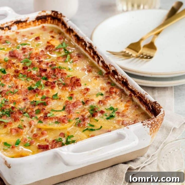 Grandpa's Scalloped Potatoes: A comforting family recipe with tender potatoes and a rich, cheesy sauce.