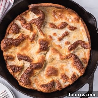 Gingerbread Dutch Baby Pancakes, a festive and warm breakfast